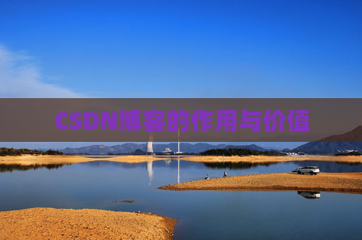 CSDN博客的作用与价值
